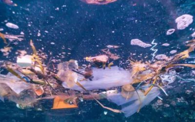 Demasiados microplásticos en los fondos marinos de Canarias