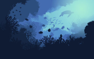 La ONU adopta un tratado para proteger los océanos y establecer zonas marinas protegidas en aguas internacionales